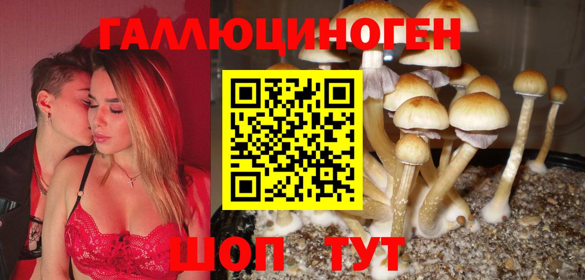 Галлюциногенные грибы GOLDEN TEACHER  Псилоцибиновые грибы MAGIC MUSHROOMS  Калининград  Вход с VPN 